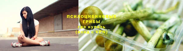spice Братск