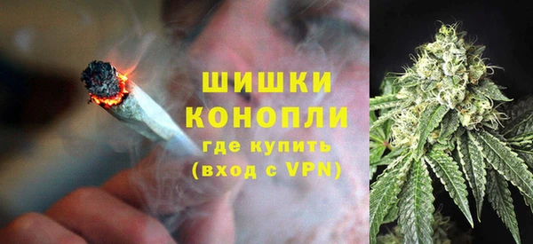 ПСИЛОЦИБИНОВЫЕ ГРИБЫ Великий Новгород