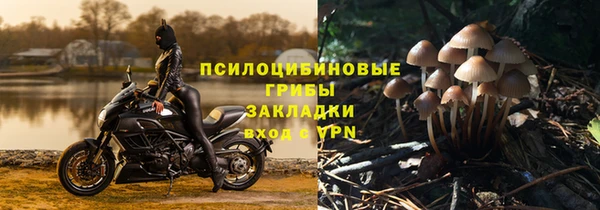 трава Пыталово