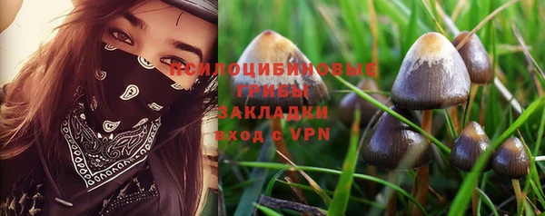 spice Братск