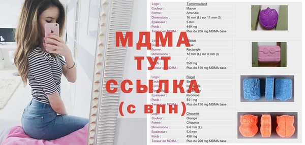 ПСИЛОЦИБИНОВЫЕ ГРИБЫ Великий Новгород