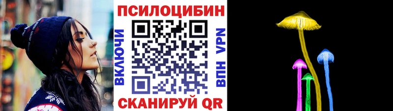 Псилоцибиновые грибы Psilocybine cubensis  Горбатов 